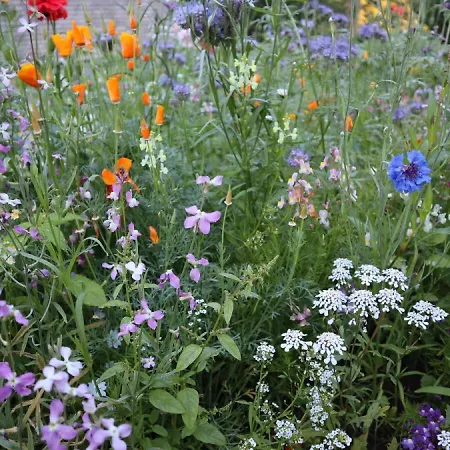 Seerose 公寓 巴德茨维什安