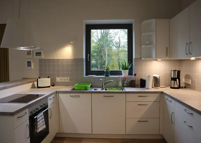 Seerose * Bad Zwischenahn